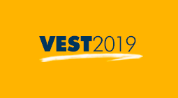 vest 2019 amarelo