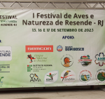 Festival notícia-pag-principal