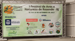 Festival notícia-pag-principal