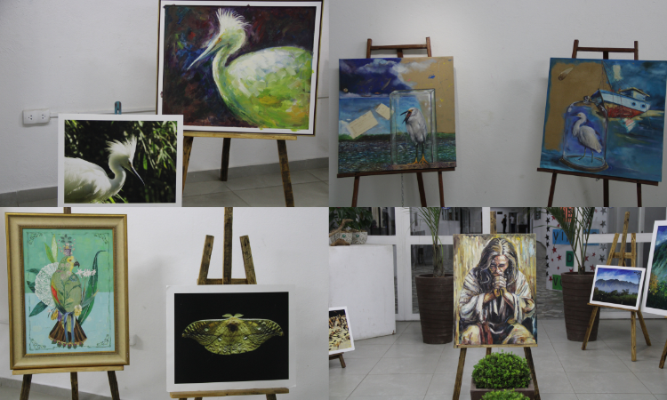 exposição-notícia-texto-interno