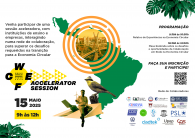 Cartaz